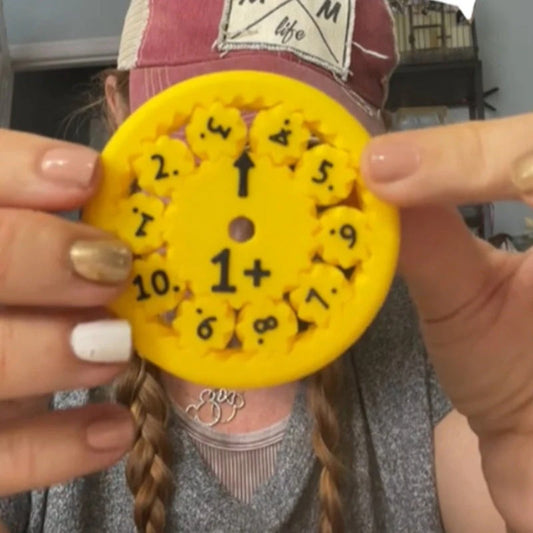 Zählspinner-Set - Bildungs-Spielzeug für Mathematik