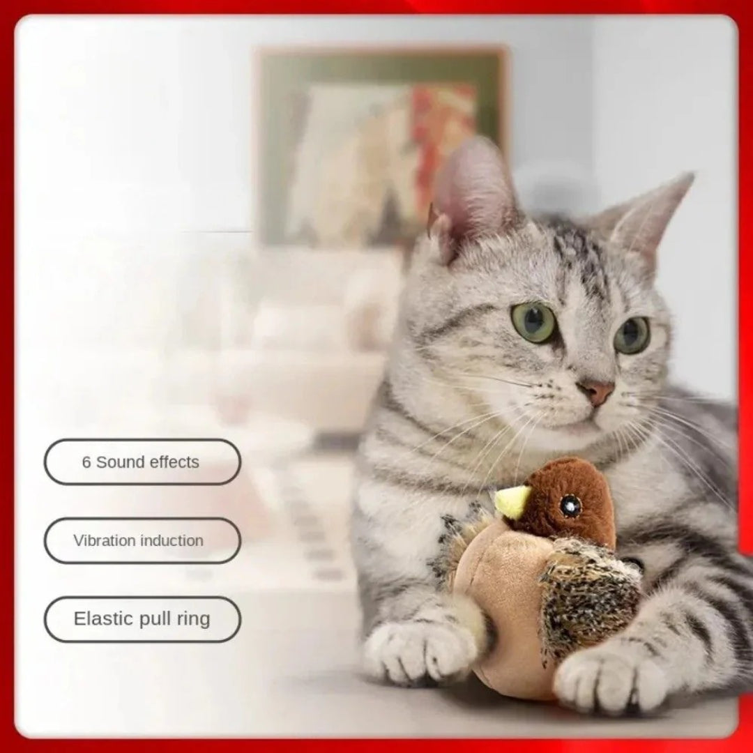 Interaktives, Geräusch-emittierendes, fliegendes Vogel-Katzenspielzeug